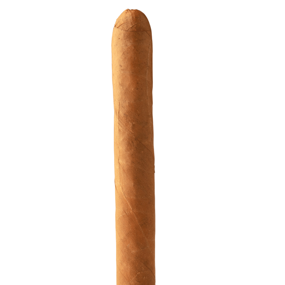 Palma, , cigars